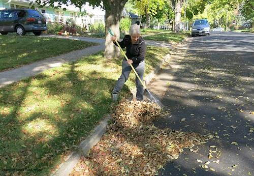 Key Messages: Leaves left in the street every fall are a major source of phosphorus to urban stormwater.