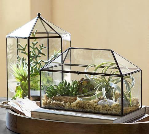 TERRARIUMS a Great Gift Idea Mini greenhouses act like natural habitats. These small gardens will bring Mom lots of enjoyment. They require minimal maintenance.