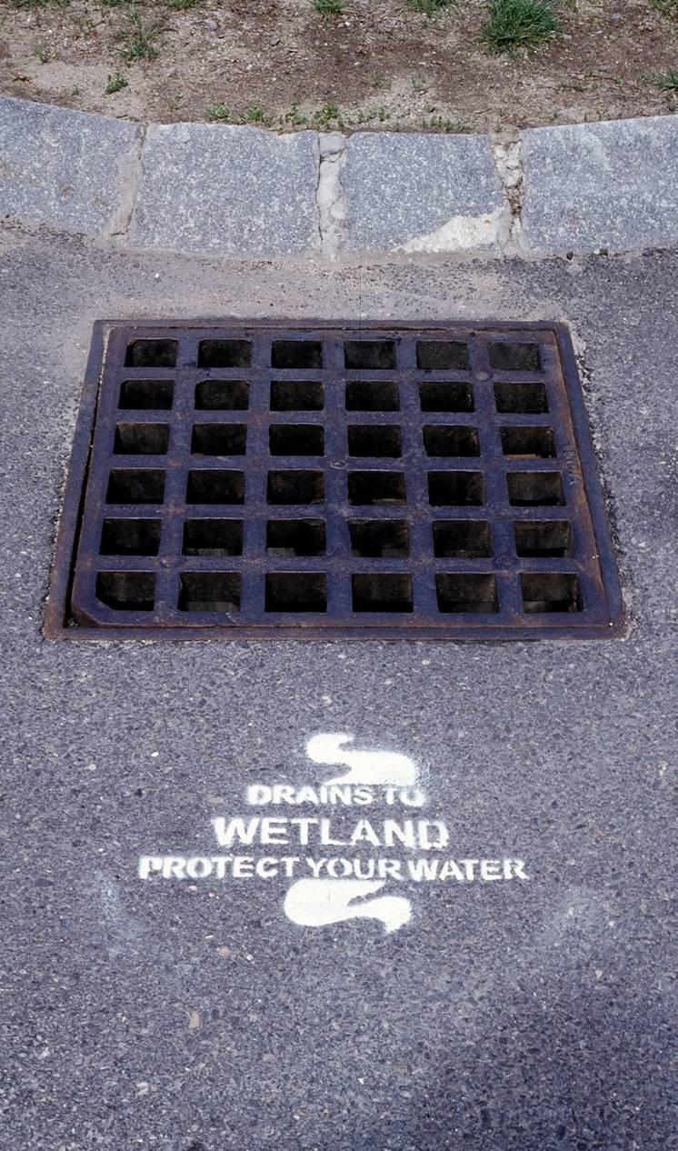 NEVER put anything down a storm drain, including pet waste, motor oil, paint, litter, leaves, sand