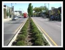 Landscaping Standard Roadway and