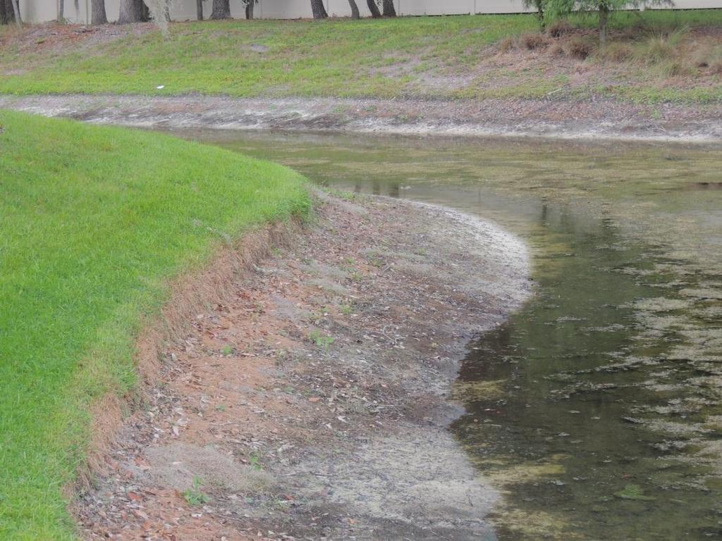 bank with ledge Culvert has moderate