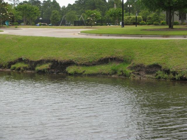 Stormwater Retention Ponds Greater Than 10 Years Post Construction Photo: Clemson University Severe erosion/unstable wind/waves undercut bank led to
