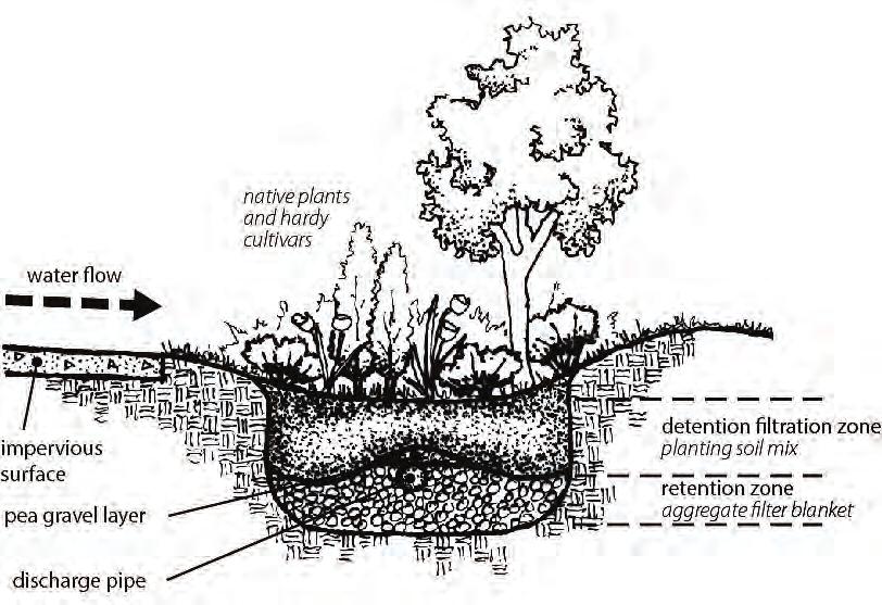 LANDSCAPING Storm water must be retained on-site and directed away from adjoining property and toward stormwater drains, and drainageways.