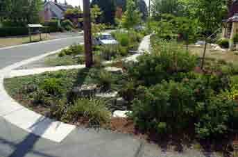 130 Landscape Extensive streetscaping is the most critical landscape improvement for.