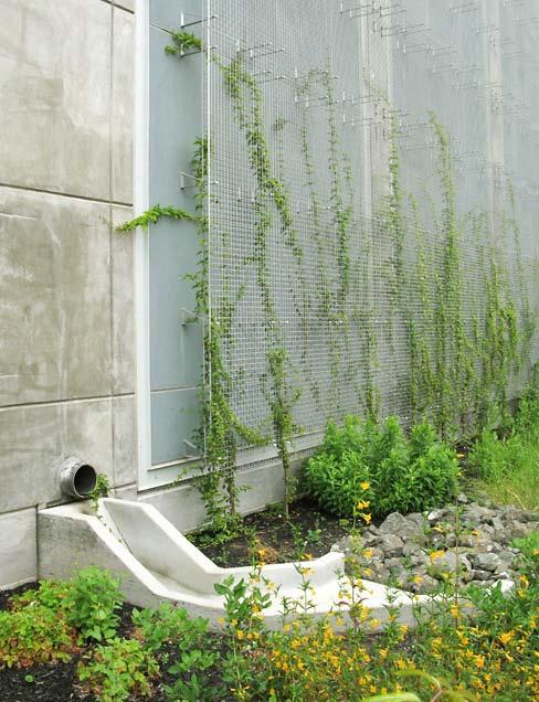 In restricted easement areas, vertical landscape elements can be used