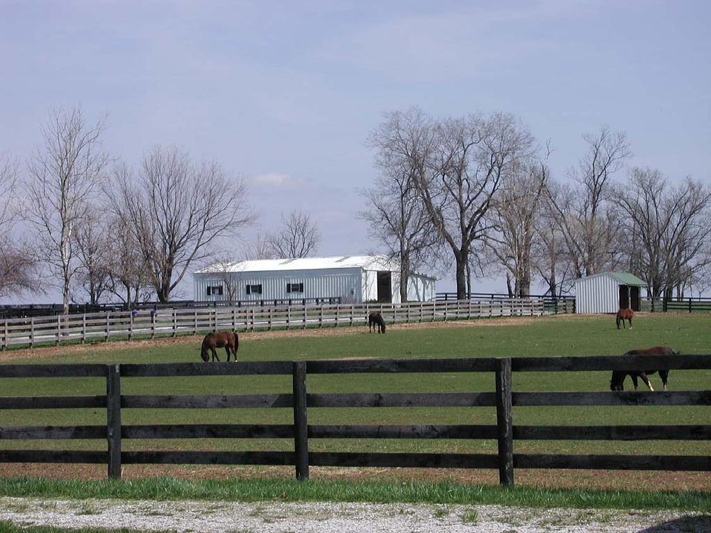 Additional farm improvements include a 10 stall insulated barn with 2 adaptable foaling stalls, fly spray system, tack room, feed room, 3 bay storage for equipment on the barn s side; four plank