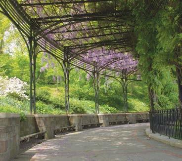 Donor Recognition Central Park Conservancy is pleased to offer a selection of