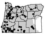 In the lower lefthand corner is a distribution map of hyacinth cluster-lily with represented ecoregions highlighted. PHOTO BY BRUCE NEWHOUSE, COURTESY OF OREGON FLORA PROJECT By Linda K.