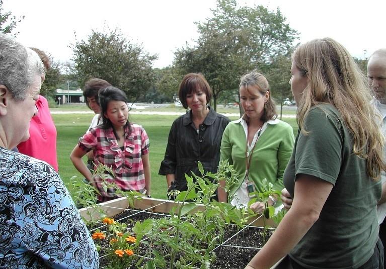 A HANDS-ON EDUCATION Weekly/Bi-Weekly: Starts at $185/visit WHAT WE CAN OFFER YOUR BUSINESS Green City Growers farmers are not simply horticultural experts.