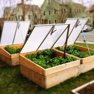 raised bed frames, trellises, and drip irrigation with timer.