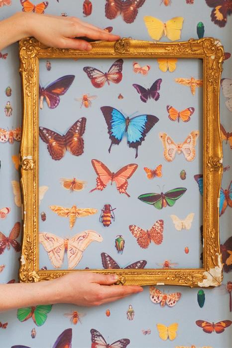 Bugs and Butterflies repeat: 104cm Bugs and Butterflies is part of our Collector theme.