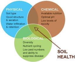+ Soil health http://www.lawrieco.com.