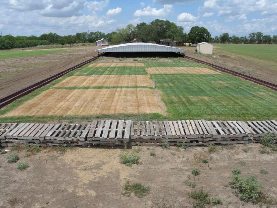 Texas A&M Drought Study The SAWS Drought Study in 2006 evaluated 25