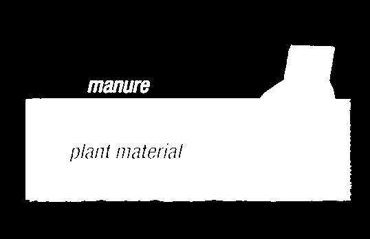 plant material; add a 2cm