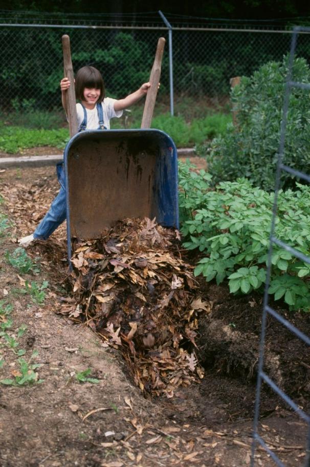 Dumping Leaves In Trench Start by placing leaves in the
