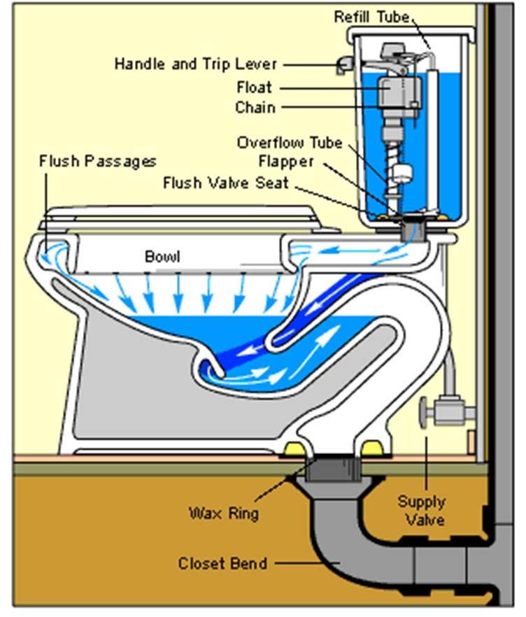1. Push the handle to release the flush valve. This opens the connection between the tank and the bowl. 2. Water is poured quickly from the tank into the bowl. 3.