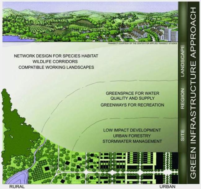 The Green Infrastructure Network A strategically planned and managed network of natural lands, working landscapes, and other open