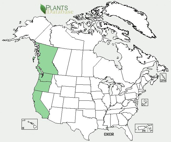 Plant Propagation Protocol for Oxalis oregana ESRM 412 Native Plant Production Spring 2011 North America Distribution Washington Distribution Source: USDA PLANTS Database (7) TAXONOMY Family Names