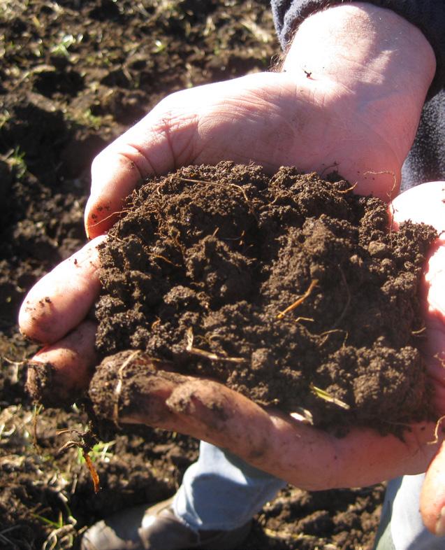 LANDHOLDER SERIES PROPERTY PLANNING GUIDE Soil health refers to the condition of the soil and its potential to sustain biological functioning, maintain environmental quality, and promote plant and