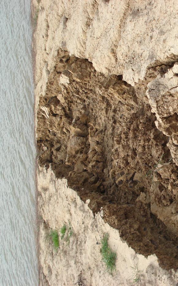 SOIL ISSUES TO LOOK OUT FOR Erosion Erosion is the loss of soil due to water or wind, which can result in the loss of valuable top soil, increase sediment and nutrient loads in waterways and