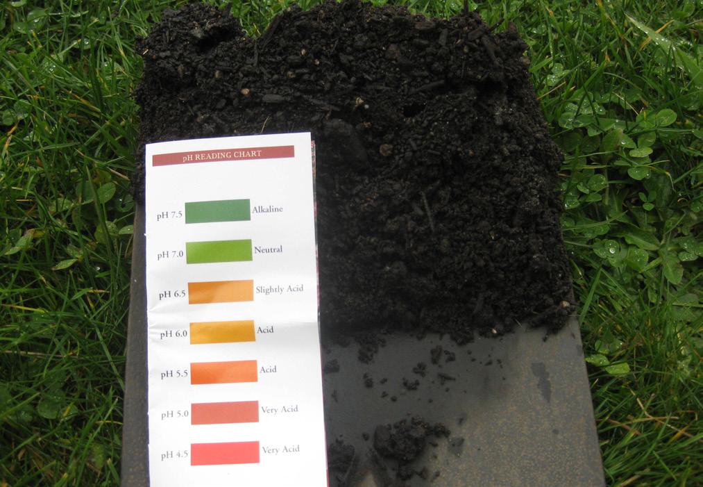 SOIL ISSUES TO LOOK OUT FOR Acidification Acidification is a decrease in soil ph that usually results in a reduction in plant vigour.