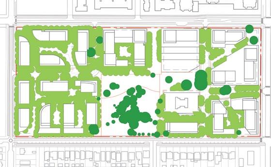 2.1.2 Urban Forestry Management Strategy (continued) Robust street trees spaced closely together Urban Forest Canopy Study With a gross site area of 102,766 m 2, and an existing