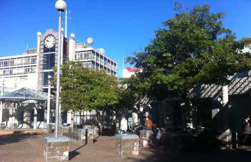 3.5 Street Trees and Planting Existing street trees and planting Street trees Existing street trees growth in the CBD have been limited by strong winds.