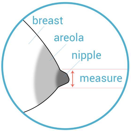 After pumping in expression mode for 5 minutes, you will notice your nipple will swell. Measure the diameter of the nipple at the base, excluding areola.