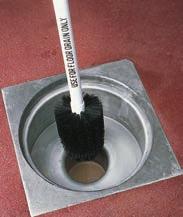 WT400 8'' Counter Brush w/polyester Bristles, 2 1 /2'' T 1/ea. $9.25 YT100 8'' Flagged Counter Brush, Gray 1/ea.