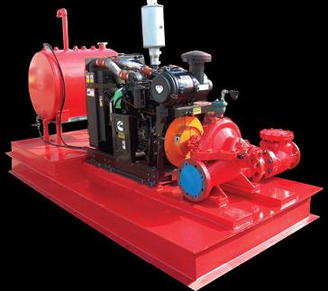 is capable of producing a wide variety of Process Pump Units all of which are available on a common base with the pump,