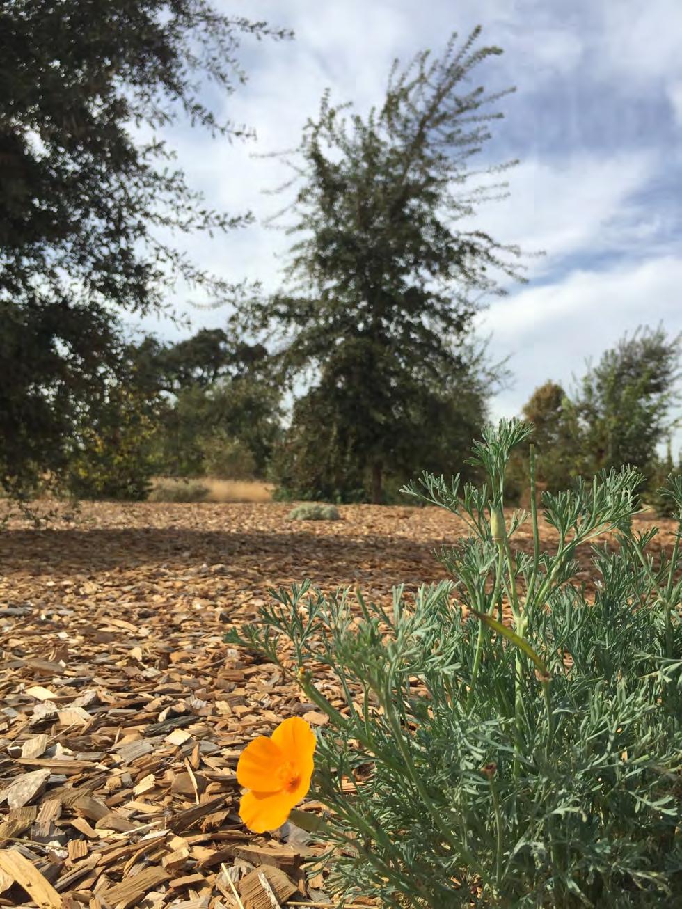 Program Goals Protect Open Space Secure long-term protection of open space lands around Davis, including maintaining the quality, quantity, and connectivity of agricultural lands and habitats Manage