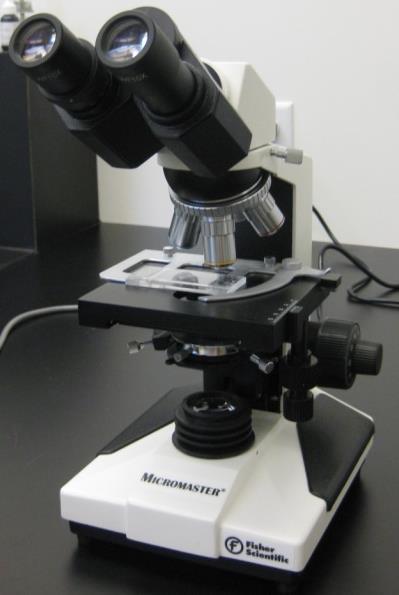 Plant Pathogenic Nematode Testing Nematode Extraction Procedures: Baermann Pan Method