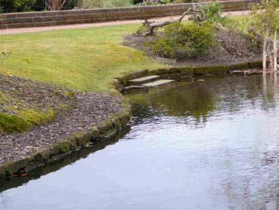 PLEASURE GROUNDS: WATERFOWL ACCESS FEATURES IN PONDS PG5 - Wall pond and Heron pond: both contain sets of shallow sandstone steps leading into the water.