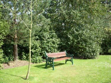 Both are replicas in the style of domestic, Victorian/Edwardian garden furniture. Replace Significance: The current seating has been recently installed.