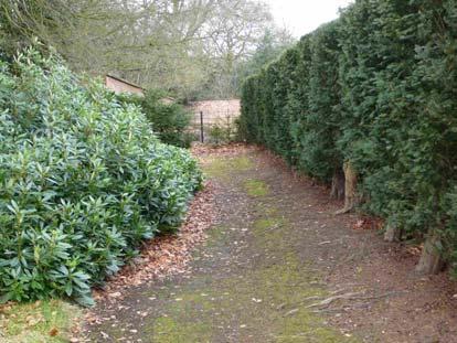 - Bound gravel path adjacent to the south wall/holly Walk: excavated in the early 2000s, this is a section