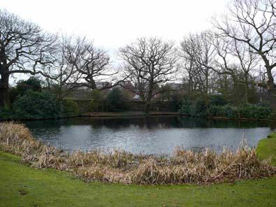 PLEASURE GROUNDS: PONDS & STREAM PG4 - The Pleasure Grounds contain 3 ponds, which from