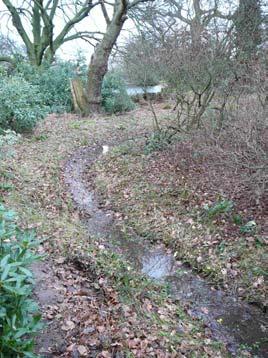This pond discharges into a culvert which runs under the wall and thence under Witherwin