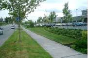 natural, aesthetic and urban environment. Standards and Guidelines for Commercial and Industrial Developments: 1. Sidewalks shall consist of a clear walking path at least 8 ft.