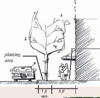 On other streets, either tree grates or a continuous planting strip along the curb are acceptable. 2. Street trees shall be planted between the curb and the walking path of the sidewalk. 3.