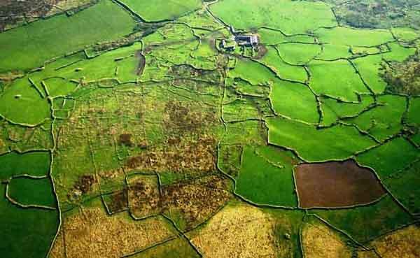 Prehistoric fields at Foage, West Penwith. The surviving stony banks in the left of this photo are the remains of brick-shaped fields.