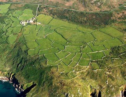 Bosigran, West Penwith. The present day fields are derived from the prehistoric field pattern focused on a courtyard house settlement whose remains can be seen in the centre right of this photo.