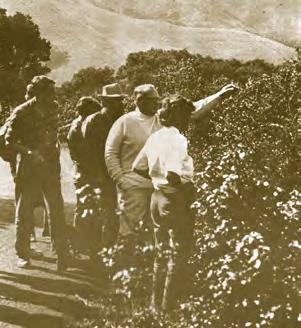 In their first newsletter, CNPS founders assigned a responsibility that we honor to this day: We who know the California manzanitas, the poppies and pines, the unique