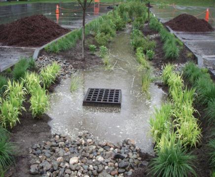 Bioretention Ponding Depths Should be 12 inches
