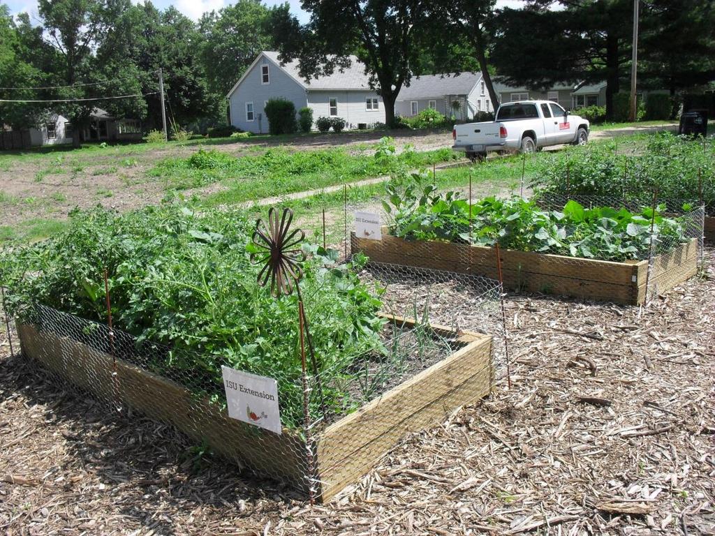 OBSERVATIONS AND SUGGESTIONS RAISED BEDS ARE VERY SPACE EFFICIENT AND BEST PLACED OVER OLD FOUNDATIONS (POOR SOIL) THEY MAKE GREAT EDUCATIONAL DEMOS FOR SMALL CITY PLOTS AND BACKYARD GARDENERS.
