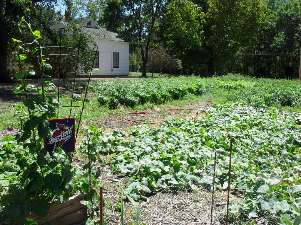 FUTURE PLANS TO CONTINUE GROWING MORE HEALTHY, LOCALLY GROWN VEGETABLES FOR OUR AREA HUNGRY.