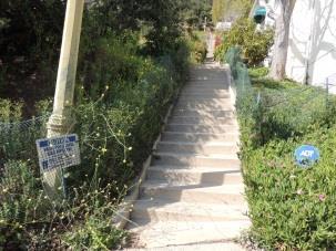From Posetano Rd to Revello Dr Posetano/Revello Year built: 1925 Excellent example of an early public stairway in Pacific Palisades.