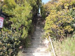 From Castellammare Dr to Revello Dr Castellammare/Revello Year built: 1925 Excellent example of an early public stairway in Pacific Palisades.