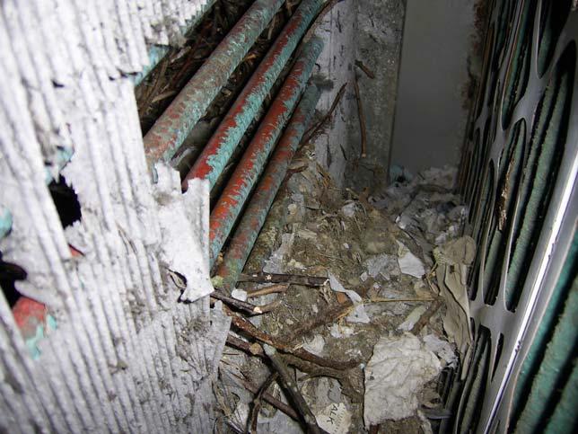 Example of what can happen when things go really wrong! Photo shows a bird s nest inside an Air Handling Unit.