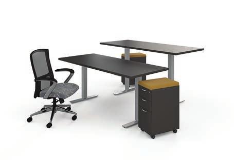 ergonomic needs of your staff and ensure that your employees can