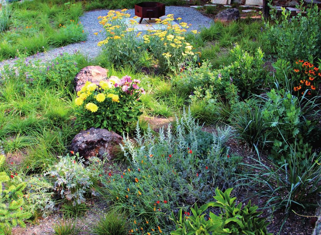 landscape projects over 500 square feet and relandscaping projects of more than 2,500 square feet
